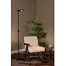 ORTOLAN stāvlampa LED 12W+3W CCT, melna (Lucide)