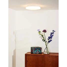 OTIS Flush ceiling light Ø26 cm LED 1x14W 3000K Opal (Lucide)