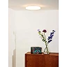 OTIS Flush ceiling light Ø26 cm LED 1x14W 3000K Opal (Lucide)