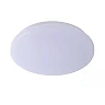 OTIS Flush ceiling light Ø26 cm LED 1x14W 3000K Opal (Lucide)