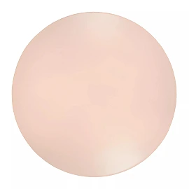 OTIS Flush ceiling light Ø26 cm LED 1x14W 3000K Opal (Lucide)