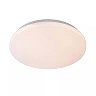 OTIS Flush ceiling light Ø34 cm LED 1x24W 3000K Opal (Lucide)