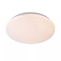 OTIS Flush ceiling light Ø39 cm LED 1x32W 3000K Opal (Lucide)