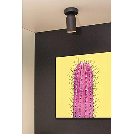 PUNCH Ceiling spotlight 10,5 cm × 10,5 cm × 15 cm 1x35W Black (Lucide)