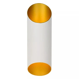 QUIRIJN sienas lampa Ø10 cm 1 x 40 W G9 balta (Lucide)