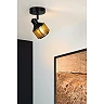 RAFA Ceiling spotlight 1xE14 40W Black (Lucide)