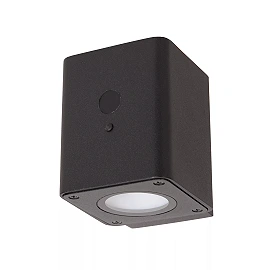 RAMIN solar outdoor wall light with PIR motion and day/night sensors, solar LED, 1 W, 100 lm, 2700/3000 K, black (Lucide)