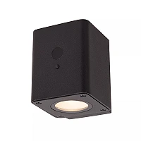 RAMIN solar outdoor wall light with PIR motion and day/night sensors, solar LED, 1 W, 100 lm, 2700/3000 K, black (Lucide)