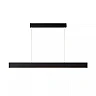 RAYA LED piekaramā lampa 119 cm 36 W 2700K melna (Lucide)