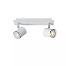 RILOU ceiling spotlight GU10 LED 2x5W 3000K white (Lucide)