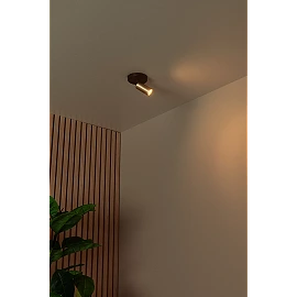 RITMO ceiling spotlight 1xGU10 (MR11) matt gold / brass (Lucide)