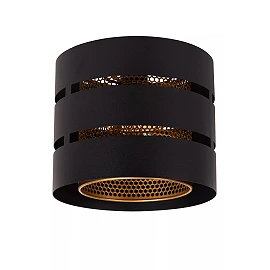 ROSAS Flush ceiling light Ø26 cm 1xE27 black (Lucide)