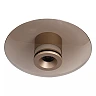 SANTIAGO griestu lampa Ø23 cm LED 10W CCT dzintara (Lucide)