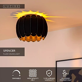 SPENCER Flush ceiling light Ø30 cm 1xE27 black (Lucide)