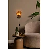 TASMAN sienas lampa 1xE14 dabīga (Lucide)