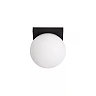 TASSA bathroom ceiling light Ø13.5 cm black (Lucide)