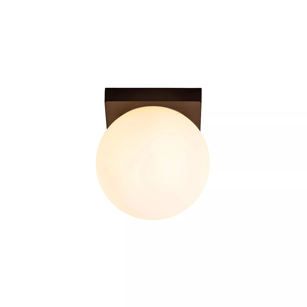 TASSA bathroom ceiling light Ø13.5 cm black (Lucide)
