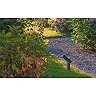 TATUM Garden spotlight 1x4.5W Integrated LED IP65 Anthracite (Lucide)