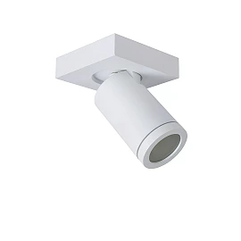 TAYLOR bathroom ceiling spotlight 1xGU10, IP44, White (Lucide)