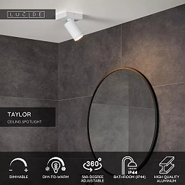 TAYLOR bathroom ceiling spotlight 1xGU10, IP44, White (Lucide)