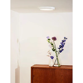 TENDO-LED griestu lampa Ø22 cm LED 18 W 3000K balta (Lucide)