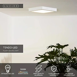TENDO-LED griestu lampa 22 x 22 cm LED 18 W 3000K balta (Lucide)