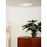 TENDO-LED flush ceiling light 22 x 22 cm LED 18 W 3000K white (Lucide)