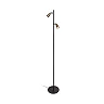 TIANA floor lamp 2xGU10 champagne (Lucide)
