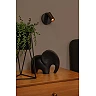 TONI rechargeable wall spotlight LED 2W CCT magnetic Coffee (Lucide)