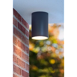 TUBIX outdoor ceiling light 1x24W E27 anthracite (Lucide)