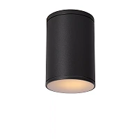 TUBIX outdoor ceiling light 1x24W E27 anthracite (Lucide)