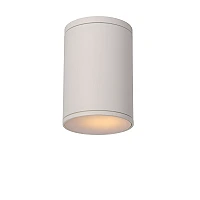 TUBIX outdoor ceiling light 1x24W E27 white (Lucide)