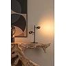 TUNDRAN Table lamp 30x15 cm 2xGU10 black (Lucide)