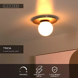 Griestu lampa TRICIA Ø25 cm 1xE27 15W matēta zelta/misiņa (Lucide)