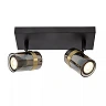 UPTON Ceiling spotlight 2xGU10 40W Smoke Grey (Lucide)