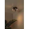 UPTON Ceiling spotlight 3xGU10 40W Smoke Grey (Lucide)