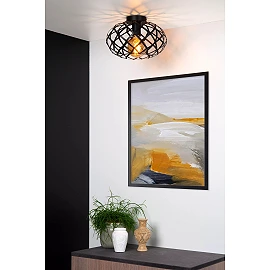 WOLFRAM griestu lampa Ø30 cm 1 x E27 melna (Lucide)
