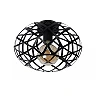 WOLFRAM flush ceiling light Ø30 cm 1 x E27 black (Lucide)