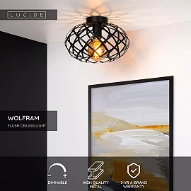 WOLFRAM griestu lampa Ø30 cm 1 x E27 melna (Lucide)