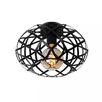 WOLFRAM griestu lampa Ø30 cm 1 x E27 melna (Lucide)