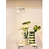 YUMIKO griestu prožektors LED 2x10W 2700K balts (Lucide)