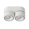 YUMIKO griestu prožektors LED 2x10W 2700K balts (Lucide)