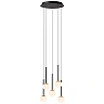 CALINA pendant light 5x8.2W black (Lucide)