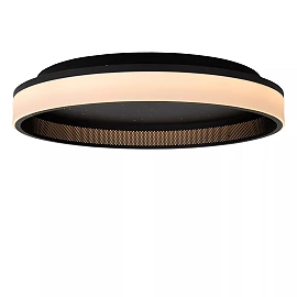 ESTREJA LED CCT ceiling light Ø40 cm 40 W black (Lucide)