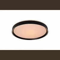 NURIA ceiling light Ø30 cm LED 18 W 2700K 3-StepDim black (Lucide)