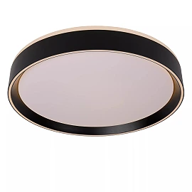 NURIA ceiling light Ø40 cm LED 24 W 2700K 3-StepDim black (Lucide)