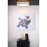 NURIA griestu gaismeklis Ø40 cm LED 24 W 2700K 3-StepDim balts (Lucide)