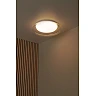 SKETES LED CCT griestu lampa Ø45,7 cm 24 W caurspīdīga (Lucide)