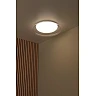 SKETES LED CCT griestu lampa Ø45,7 cm 24 W caurspīdīga (Lucide)
