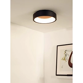 Flush ceiling light "TALOWE", Ø 30 cm, LED, 1x30W, 3000K - 46100-20-31 (Lucide)